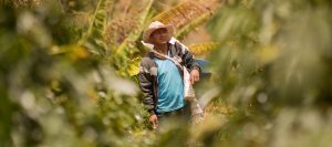 Umbrella galardonada con dos premios Oro en los FIP